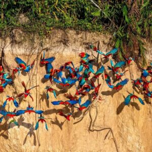 Manu reserved Zone 06 Days,